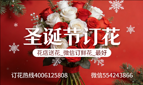 湛江坡头区花店送花_微信订鲜花_圣诞节订花_最好? 湛江坡头区花店